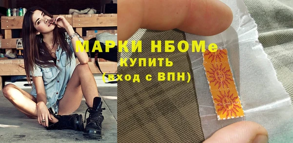 прущие грибы Михайлов