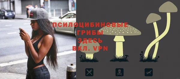 не бодяженный Армянск
