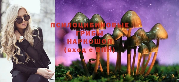 не бодяженный Армянск