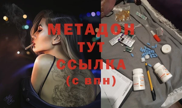 прущие грибы Михайловск