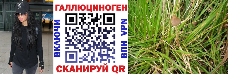 Псилоцибиновые грибы Psilocybine cubensis  цена   Рославль 